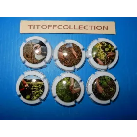 LOT DE 5 Séries de capsules de champagne générique travaux de la vigne