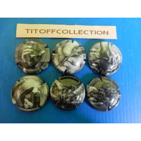 lot de 5 séries de capsules de champagne générique