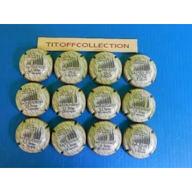 la série de 12 capsules de champagne génériques les contenants