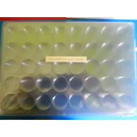 10 plateaux plastique transparente sans couvercle 4 coins