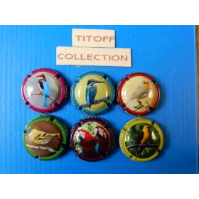 la serie de 6 capsules de champagne marle nicolas
