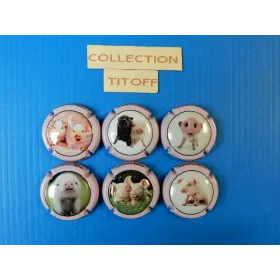 la série de 6 capsules champagne générique petits cochons