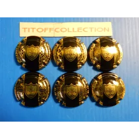 la série de 6 capsules champagne générique blasons