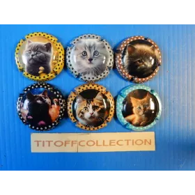 la series de 6 capsules de champagne lallement jean chats