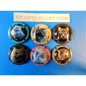la série de 6 capsules champagne générique chat
