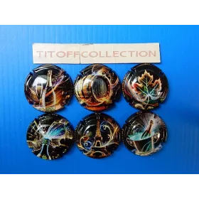 la série de 6 capsules champagne générique (lumi)