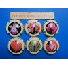 La série de 6 capsules de champagne QUATRESOLS (fleurs)