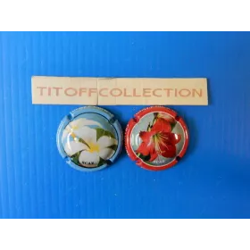 La série de 2 capsules de champagne pinel (14j a 14k)