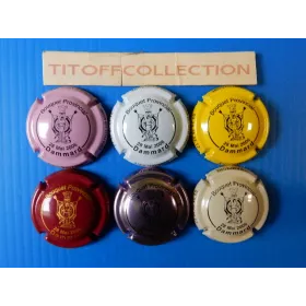 la série de 6 capsules  de champagne  navarre alain (bouquet provincial)
