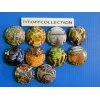 the series of 10 generic champagne capsules la vigne  (June 2025)