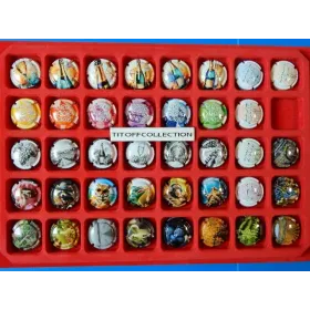 caspule of generic champagne 6 series sold without tray