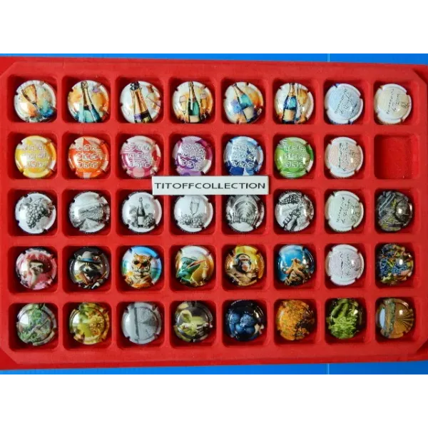 caspule of generic champagne 6 series sold without tray