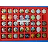 caspule of generic champagne 6 series sold without tray