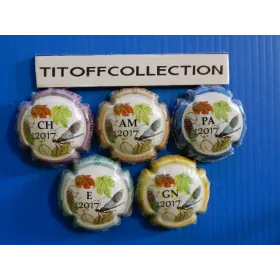 la série de 5 capsules de champagne génériques puzzle 2017 (979 a 979 d )