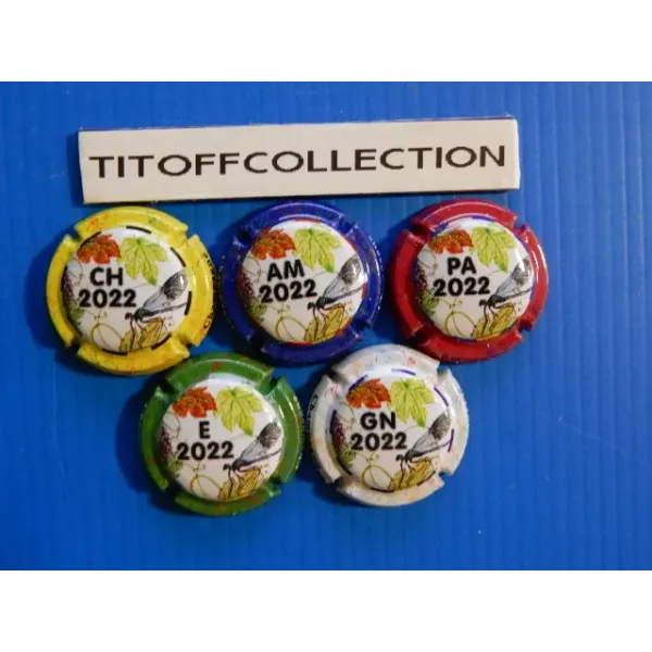 the series of 5 generic champagne capsules puzzle 2022 (1197f to 1197j)