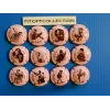 la série de 12 capsules de champagne générique les pin up rose  ( 773 a 773 k )