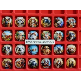 la série de 24 capsules de champagne génériques chien ( septembre   2025 )