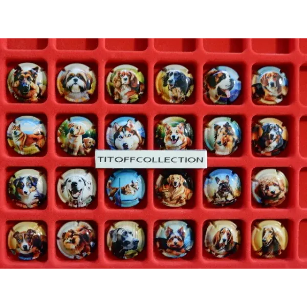 the series of 24 generic dog champagne capsules (September 2025)