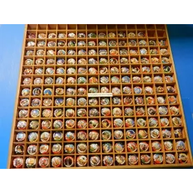 the series of 180 generic champagne capsules the capitals of the world  (October 2025)