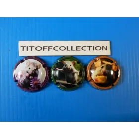 la série de 3 capsules champagne piot thomas souris   (novembre  2025)