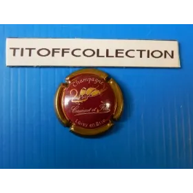 1 capsule of champagne camiat and burgundy yarn and 2000 gold leisure in Brie no6