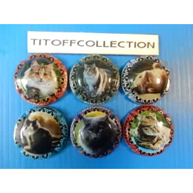 the series of 6 champagne capsules hirault-cassan cat  (December 2025)