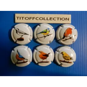 the series of 6 champagne capsules pessenet didier bergeronnette (40 a 40 e )