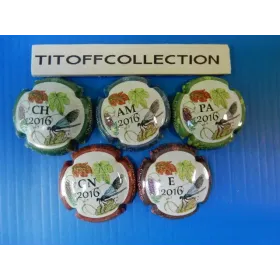 The series of 5 generic champagne capsules puzzle 2016 (798t has 798x )