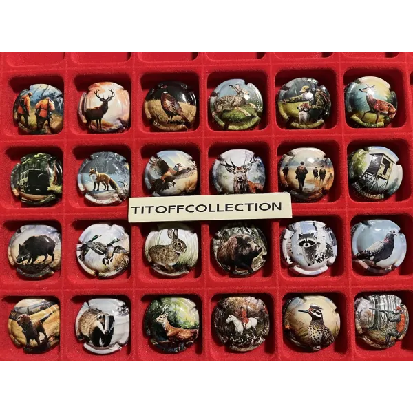 La série de 24 capsules de la chasse génériques (Mars 2026)