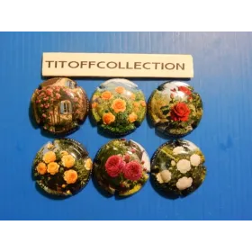 La série de 6 capsules de champagne génériques roses    ( aout   2026 )