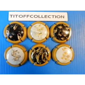 La série de 6 capsules de champagne génériques coupes en fete   ( octobre   2026 )