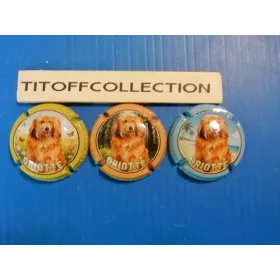 la serie de 3  capsule de champagne cheutin serge griotte     (  octobre 2026  )