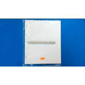 10 Intercalaires blancs NUMIS