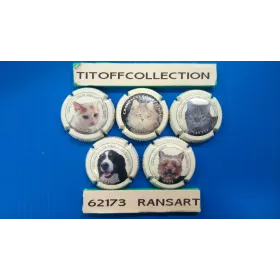 La série de 5 capsules de champagne CLÉMENT GÉRARD 2007 / 2009