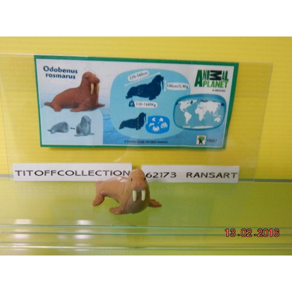 1 Figurine Kinder ANIMAIS  2012 - 2013 avec 1 BPZ