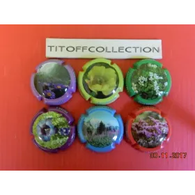 La série de 6 capsules de champagne dangin patrice ( fleurs)