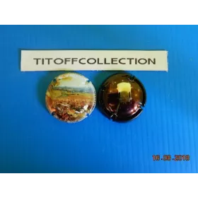 la série de 2 capsules de champagne générique 