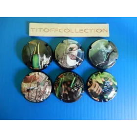 la série de 6 capsules de champagne Générique de la vigne a la dégustation 